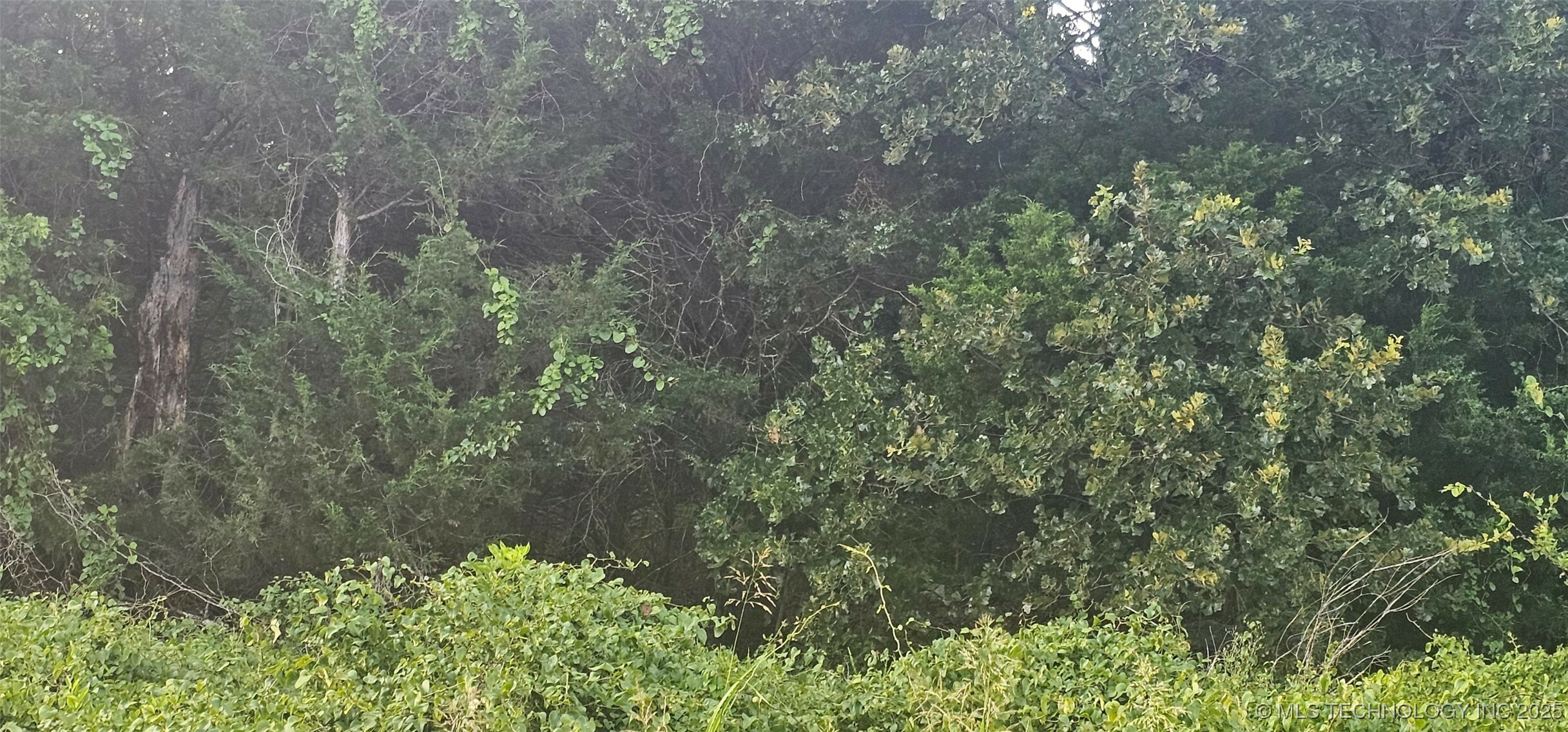 Property Photo: 000000 E Moonshine/1000 Road OK 74435