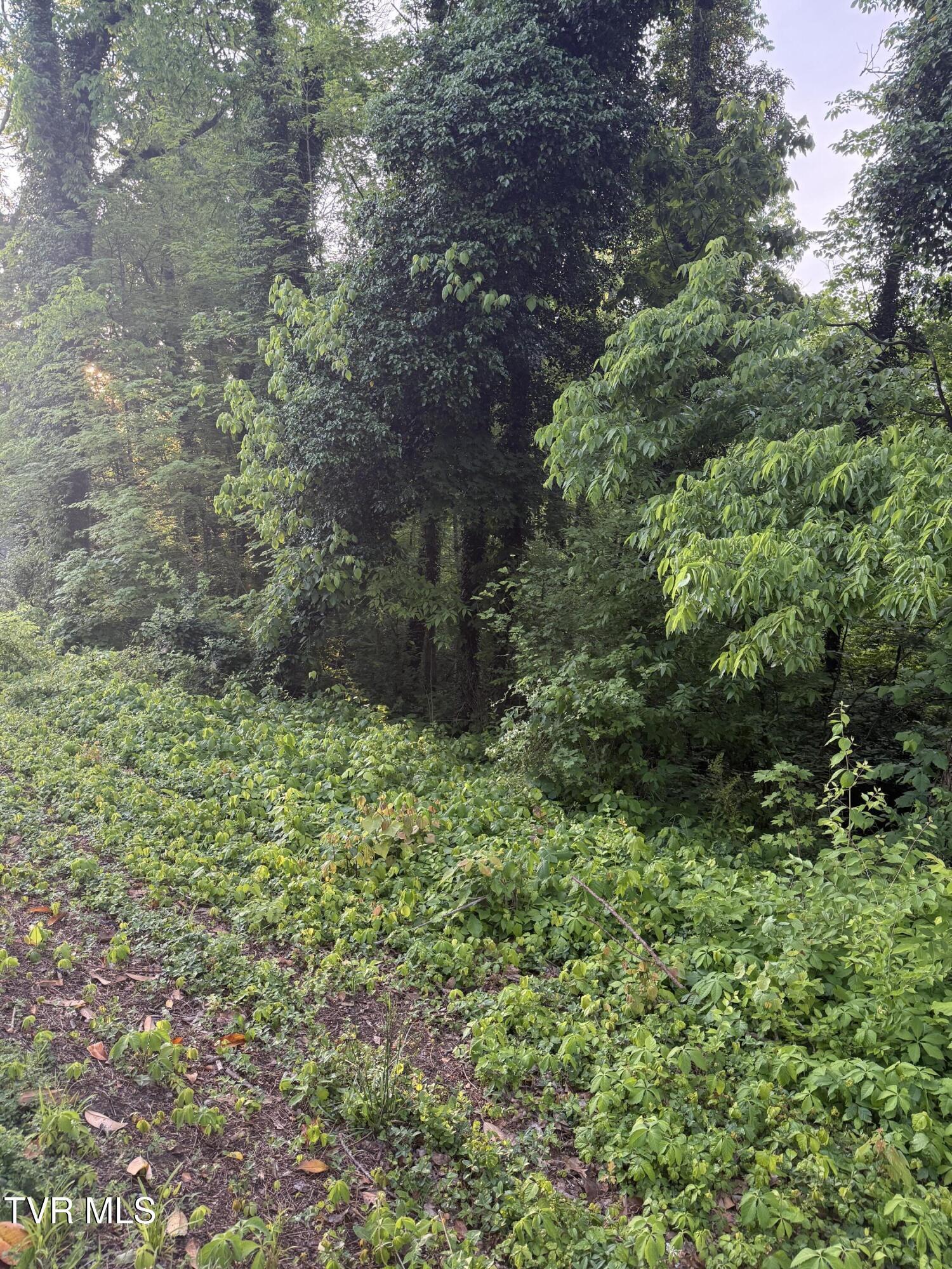 Property Photo: Lot 14 Ashley Street TN 37664