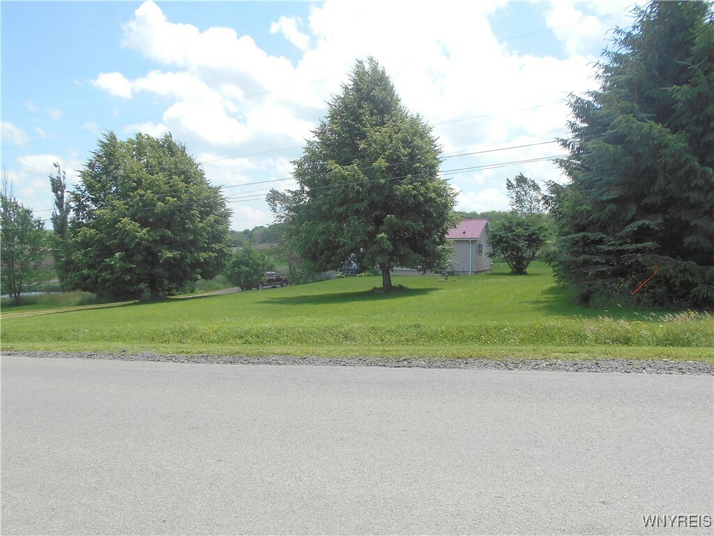 Property Photo: 263 Bray Road NY 14009