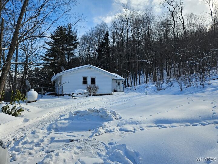 Property Photo:  8905 W Bucktooth Run Road  NY 14755 