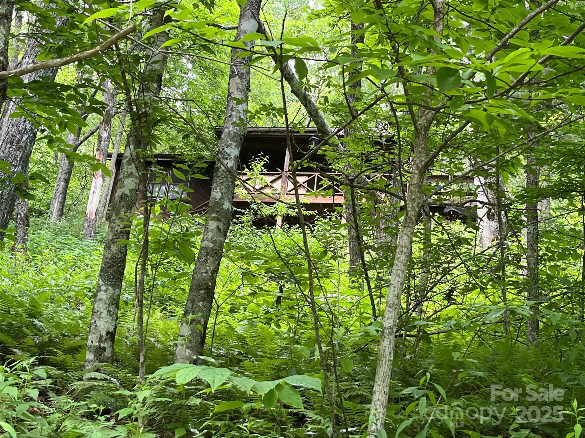 Property Photo:  67 Sky Drive  NC 28751 