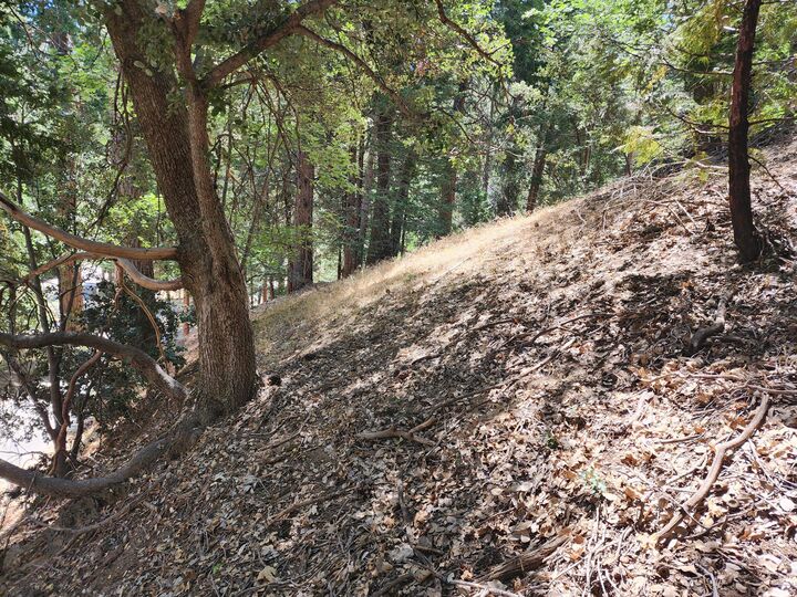 Property Photo: 0 Edelweiss Drive CA 92325