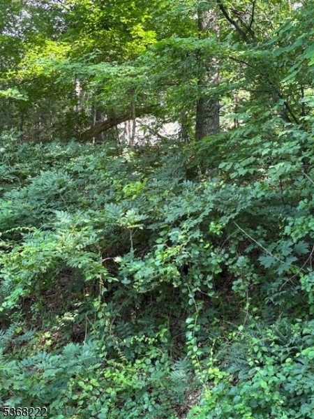 Property Photo:  28 Hillside Rd  NJ 07465 