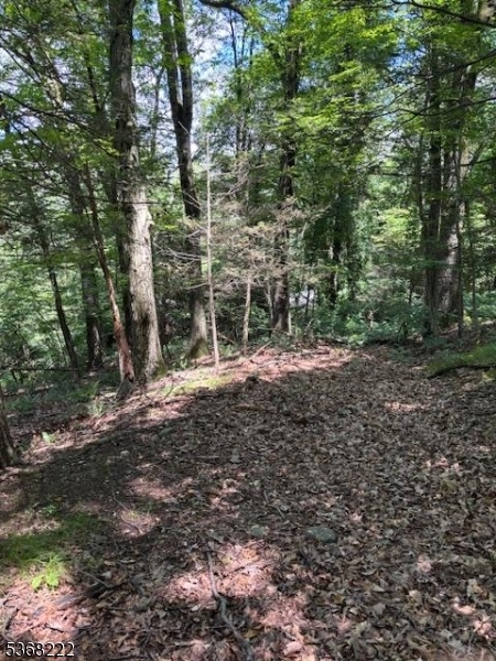 Property Photo: 28 Hillside Rd NJ 07465