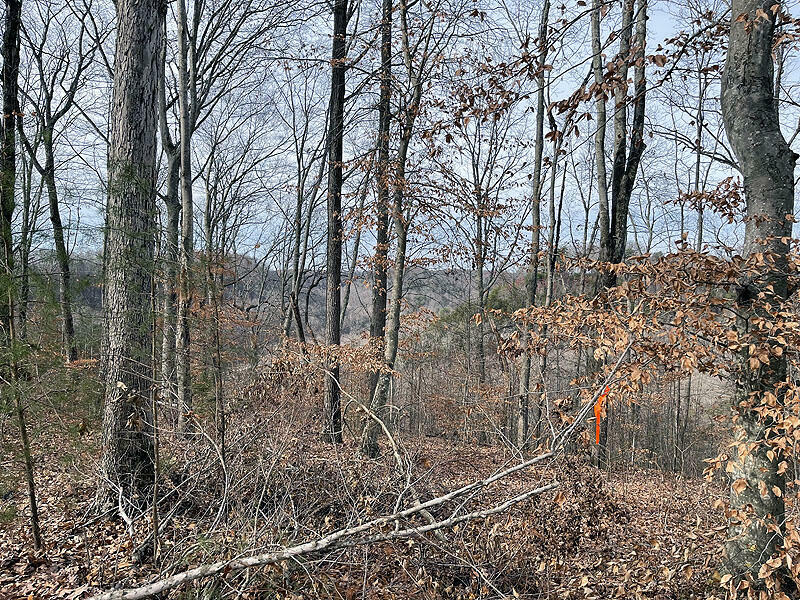 Property Photo: Lot 84 Stillwater KY 42642