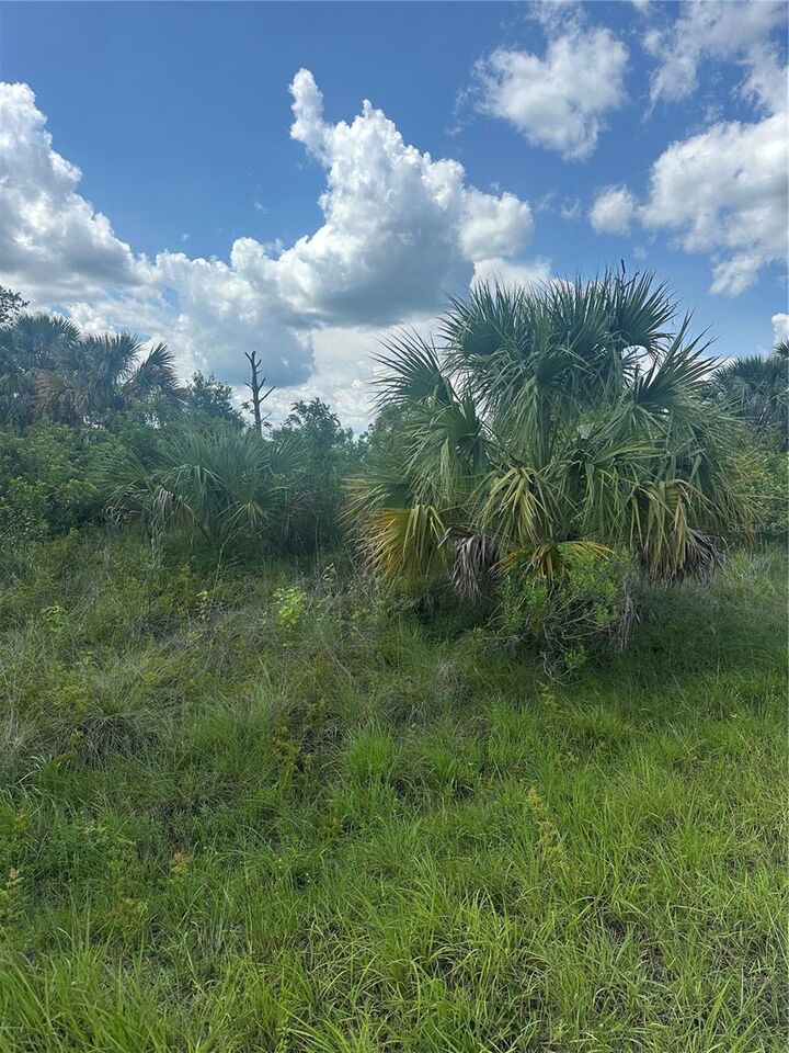 Fritz Avenue  North Port FL 34288 photo