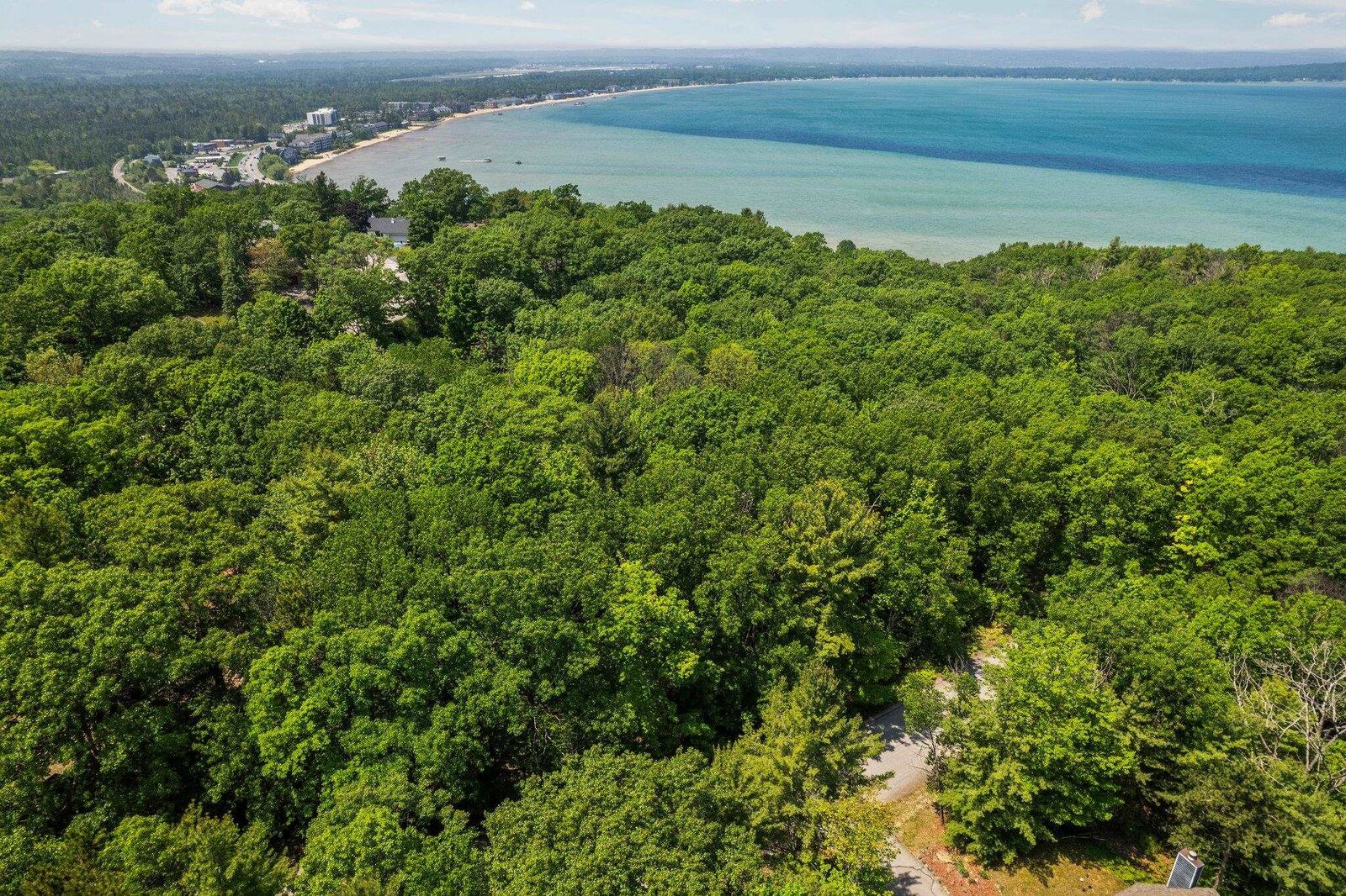 Property Photo: 4513 Weathering Heights Road MI 49686