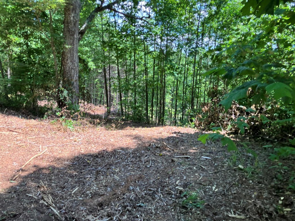 Property Photo: Lot 13 View Ridge Trail NC 28906