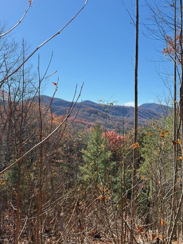 Property Photo:  Lot 13 View Ridge Trail  NC 28906 