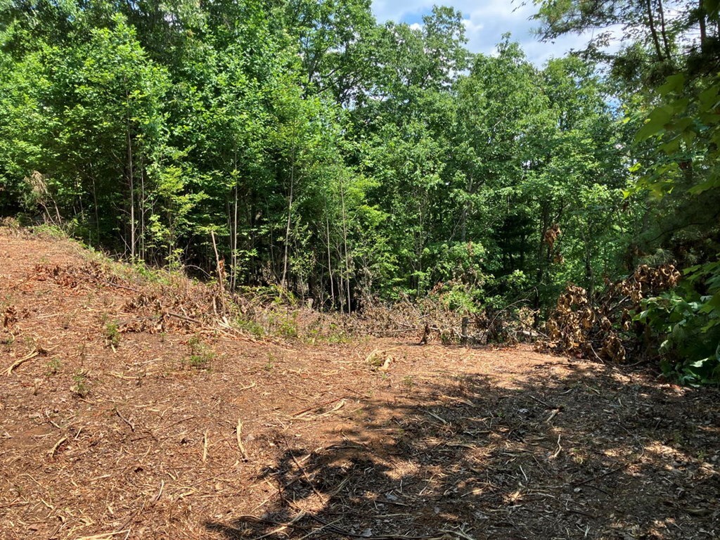 Property Photo:  Lot 14 View Ridge Trail  NC 28906 