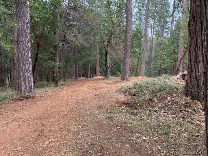 Property Photo: 11356 Constitution Court CA 95959