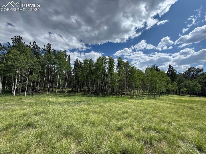 Property Photo: 117 Vagabond Creek Terrace CO 80827
