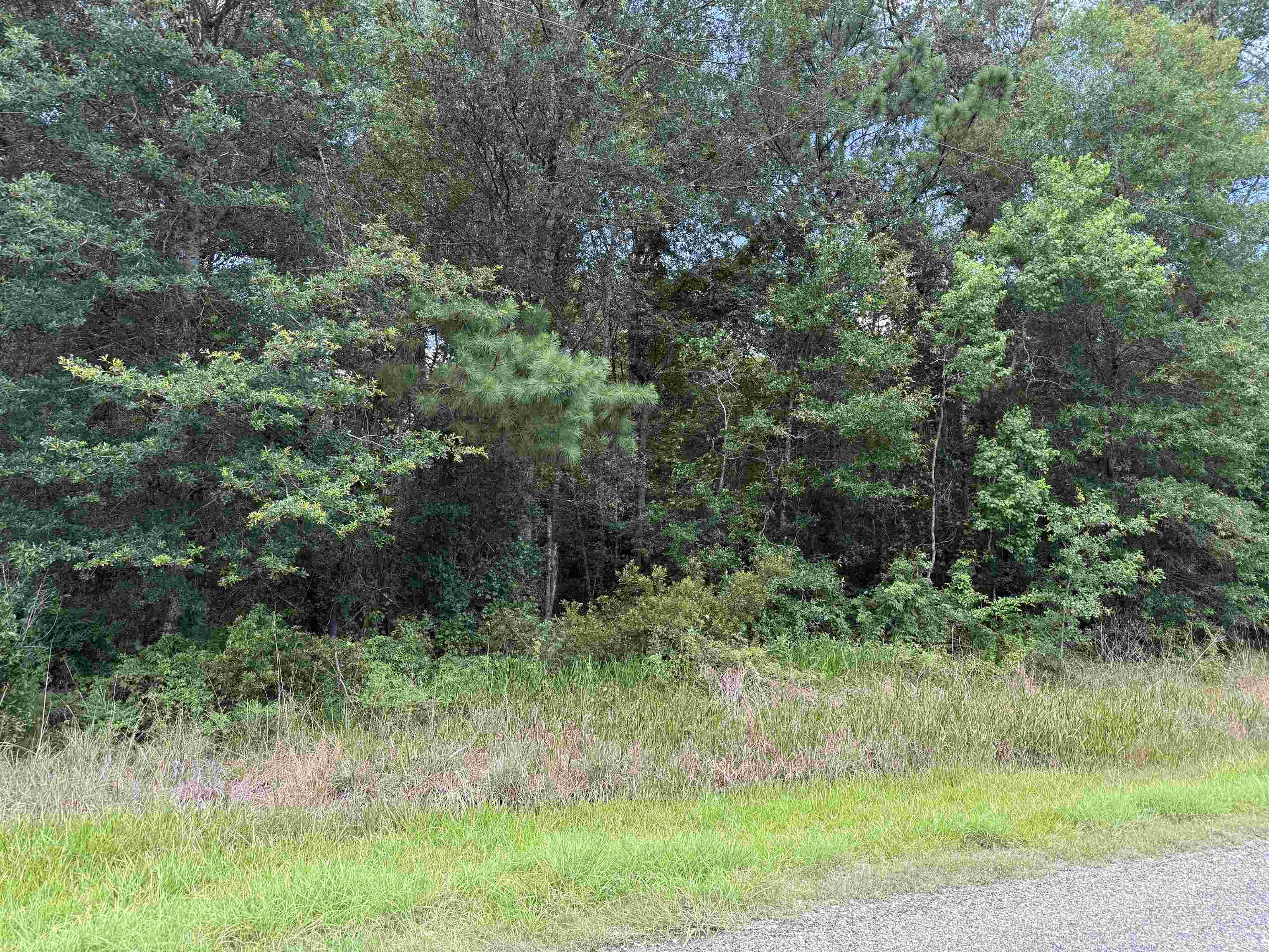Property Photo:  1985 Bobcat Circle  TX 77630 