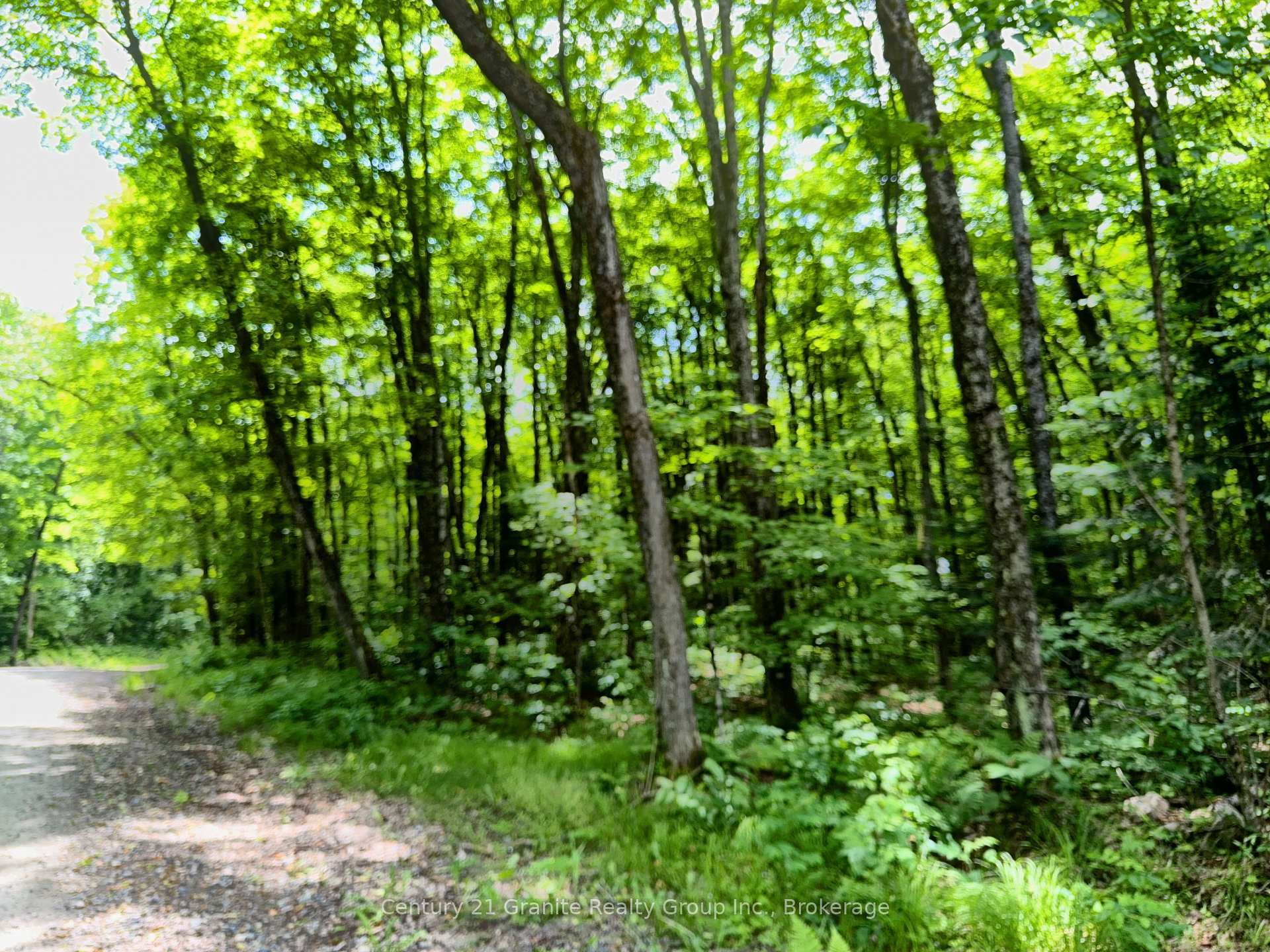 Photo de la propriété:  0 Loon Lake Road  ON K0M 1S0 