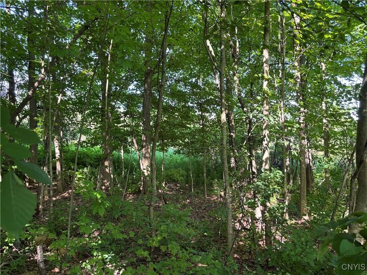 Property Photo: 00 Glass Factory Road NY 13354