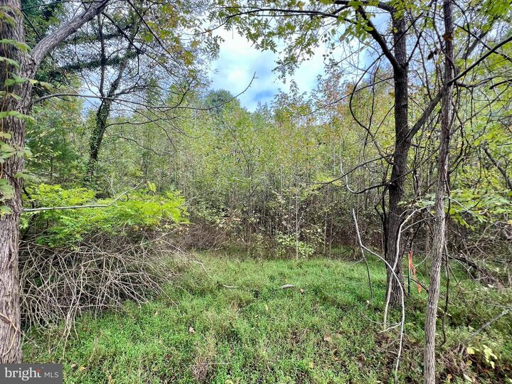 Property Photo: 159 Boothhaven Lane MD 20736