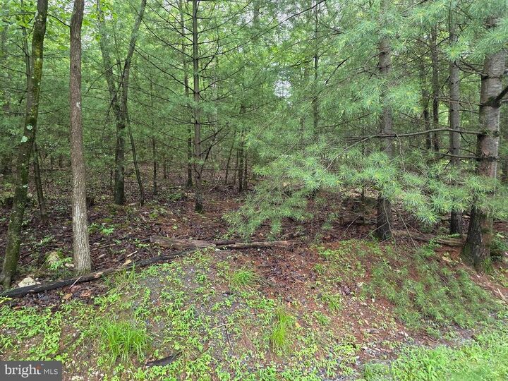 91 Hirschmann Road  Biglerville PA 17307 photo