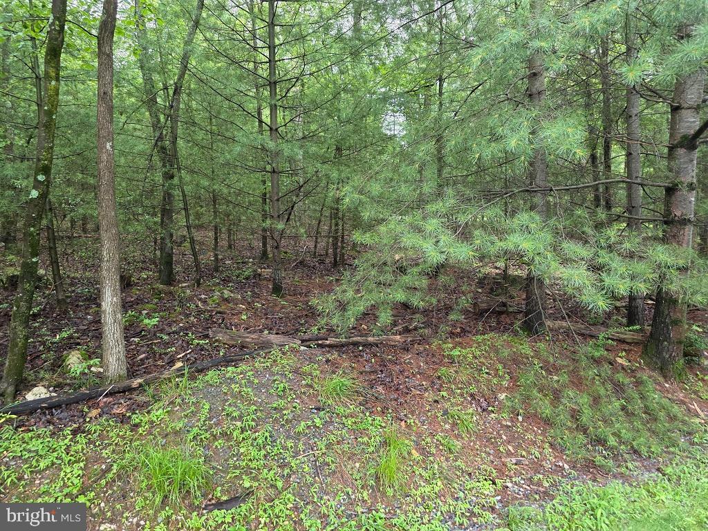 Property Photo: 91 Hirschmann Road PA 17307