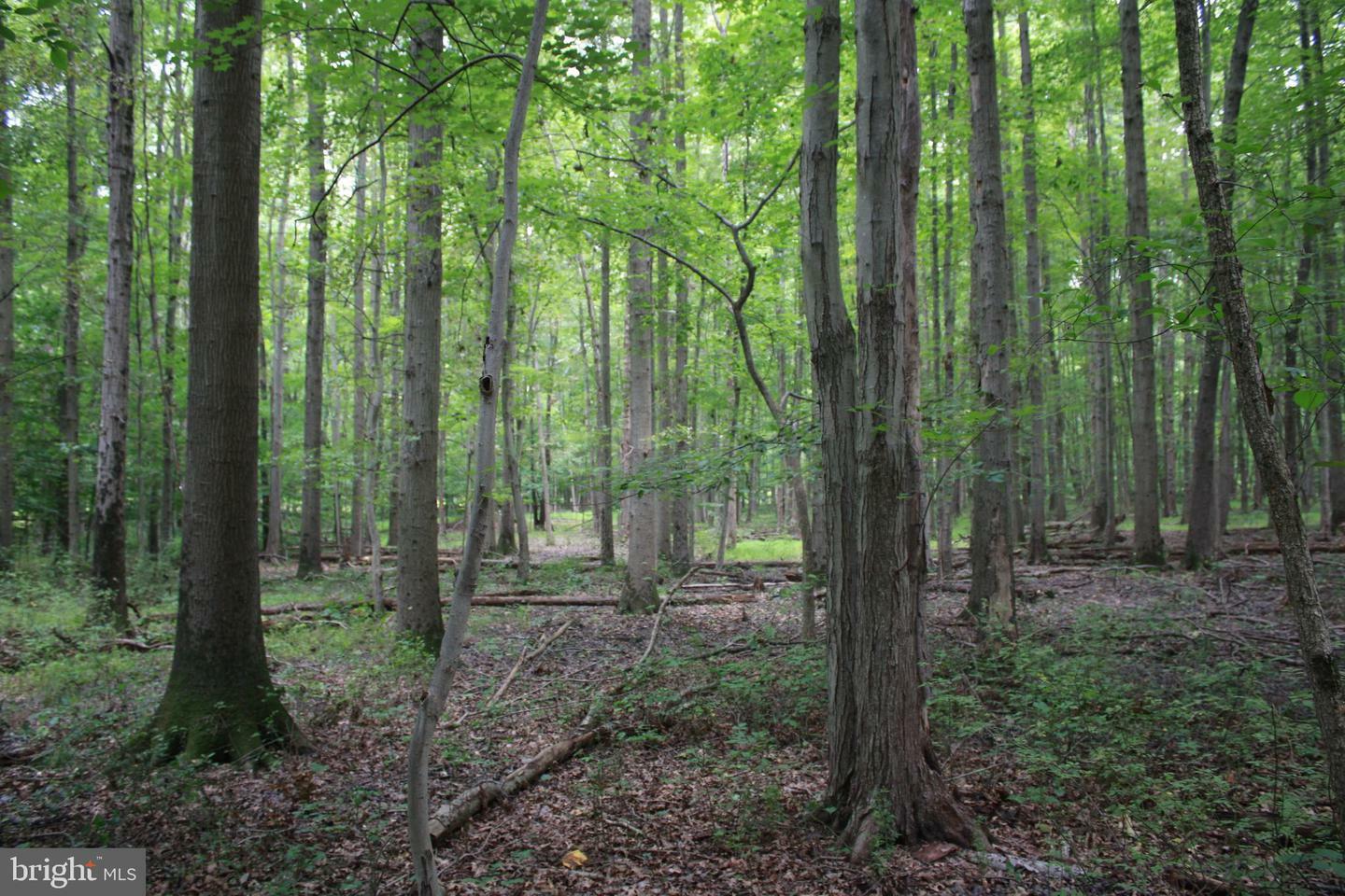 Property Photo:  Conowingo Road  MD 21034 
