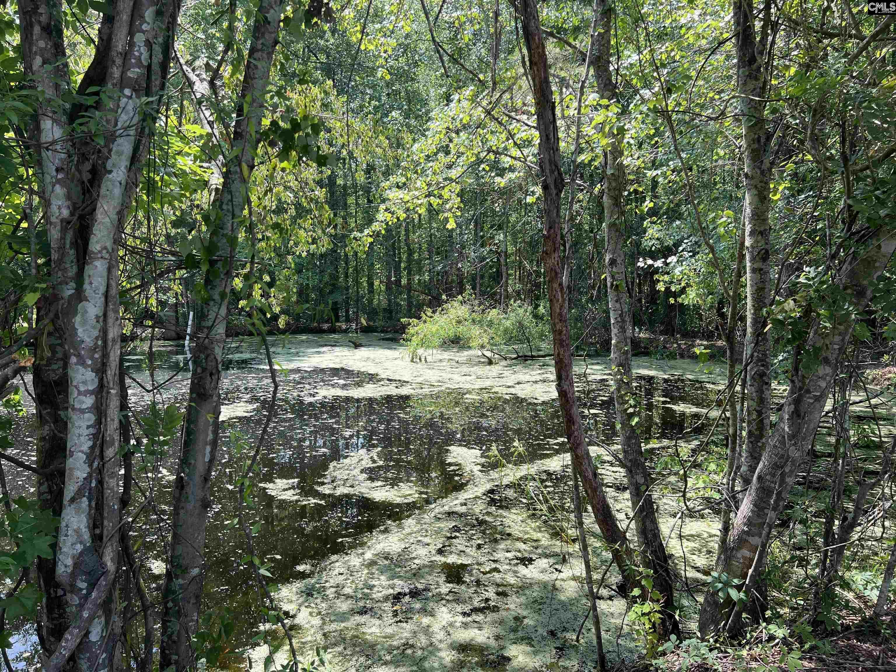 Property Photo: 4141 Edmund SC 29170-1413