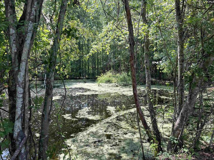 4141 Edmund  West Columbia SC 29170-1413 photo