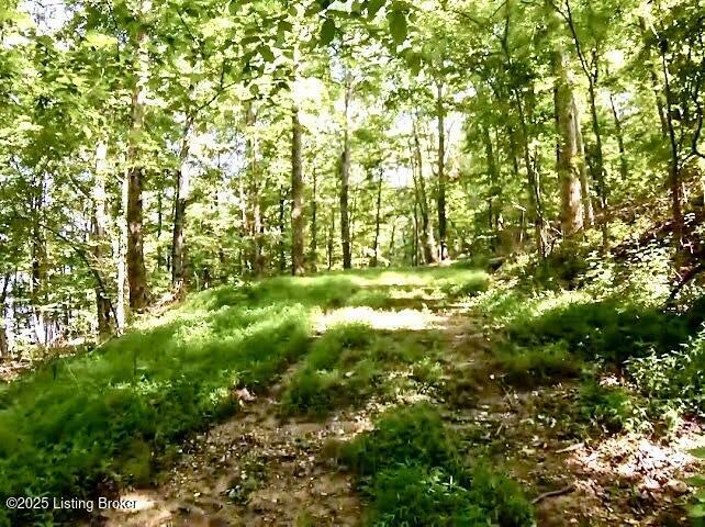 Property Photo: 2344 Dickeys Mill Rd KY 42259