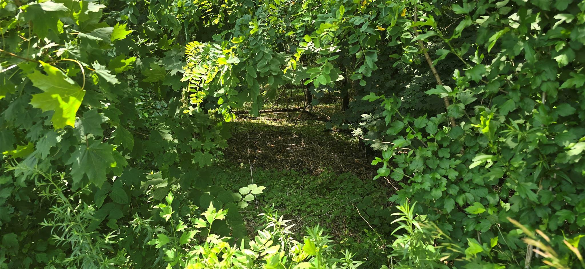 Property Photo: Vl Yaphank-Middle Island Road NY 11980