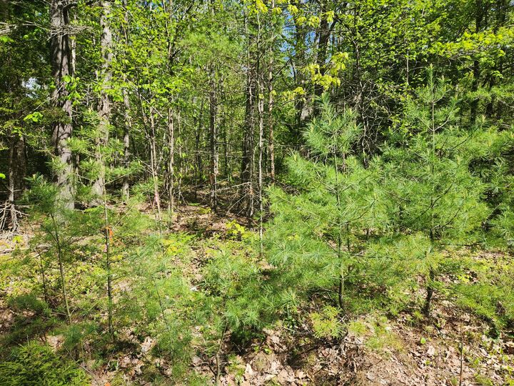 Property Photo: Map R1 21A Alna Road ME 04535