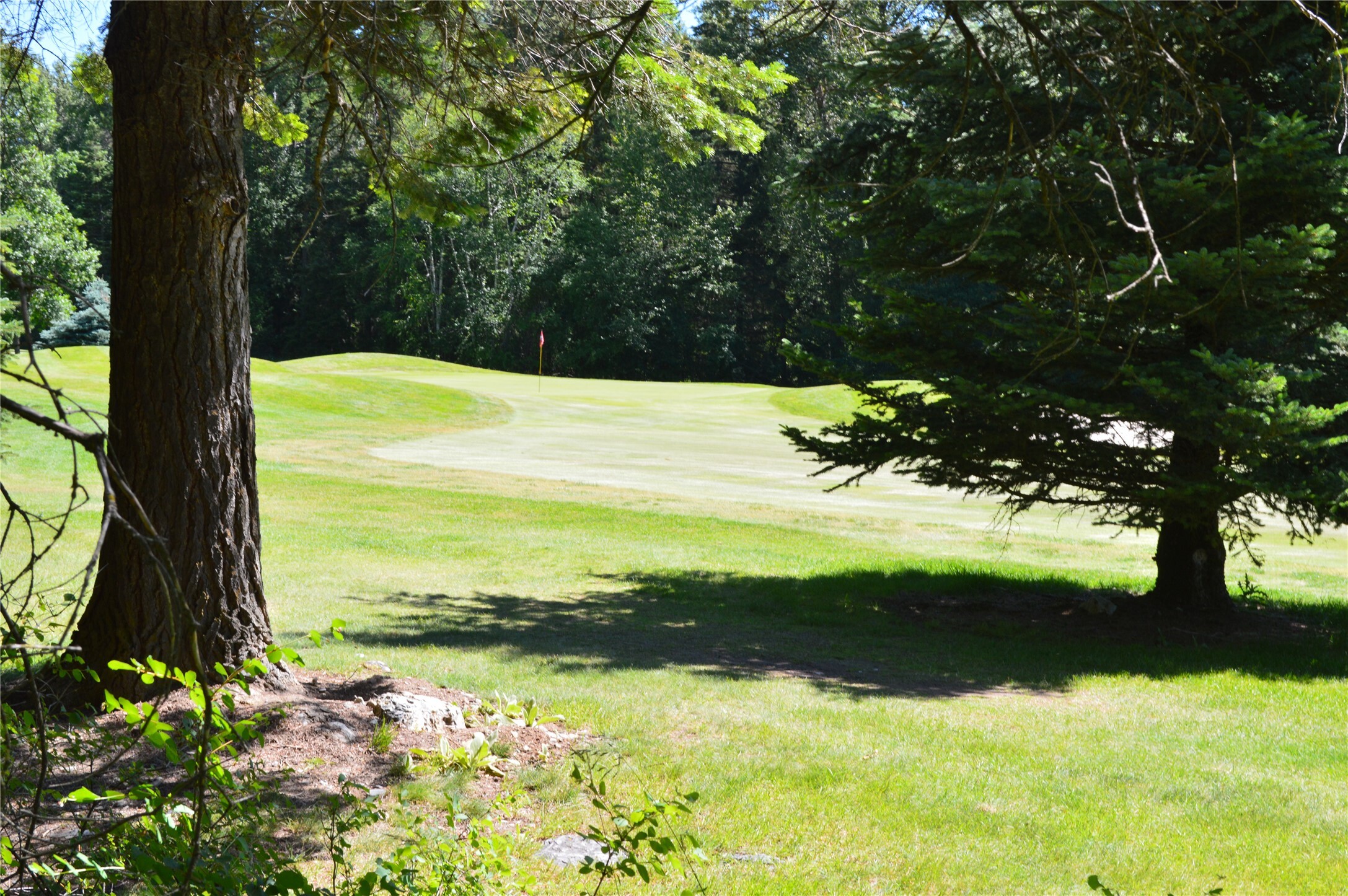 315 Gleneagles Trail  Columbia Falls MT 59912 photo