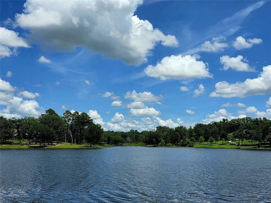 Property Photo: Lot 223 Safari Shores Drive TX 75770