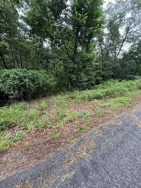 Property Photo:  Lot 6 Bosworth Circle  AR 72714 