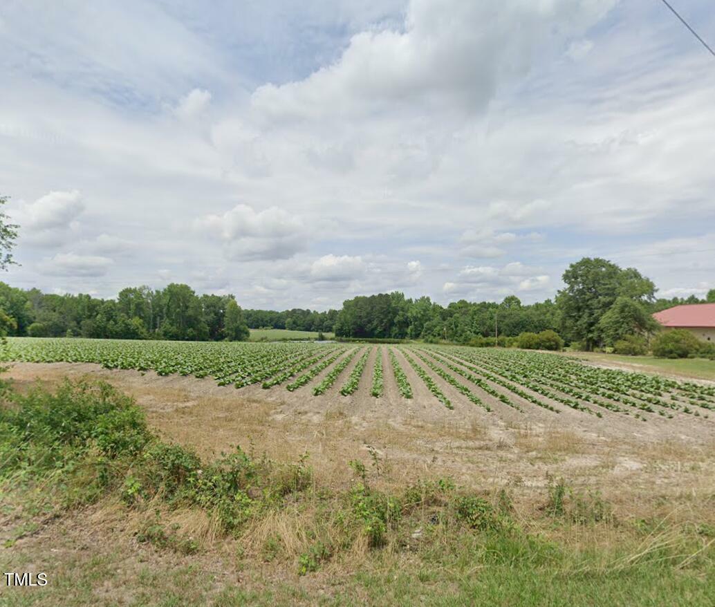 Property Photo:  1050 Wagstaff Road  NC 27526 