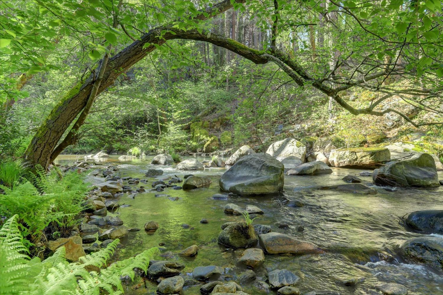 Property Photo:  506 Bridge Street  CA 95959 