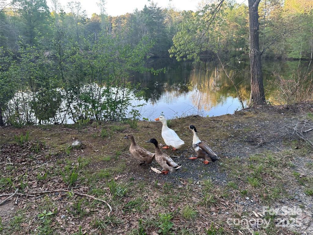 Property Photo: 11155 &Amp 11165 Highway 52 Highway NC 28138