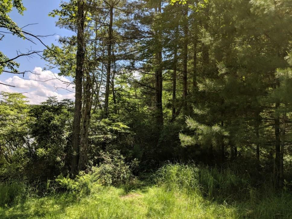Property Photo:  Lot 9.1 Elle Drive  NY 12737 