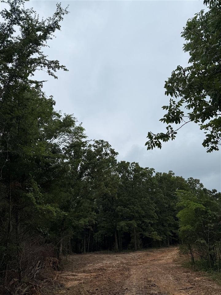 Property Photo: Lot 6A Hunters Ridge Road KY 42276
