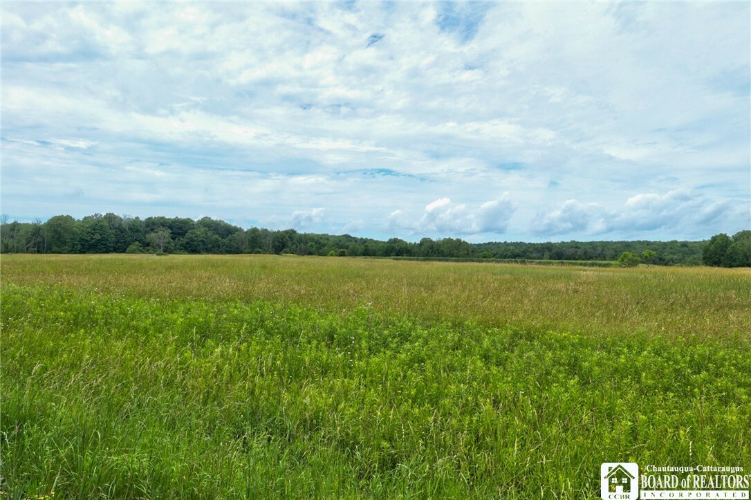 Property Photo:  0 Stow Road  NY 14710 