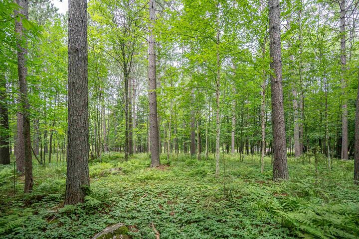 Property Photo:  51xx Lindahl Rd  MN 55811 