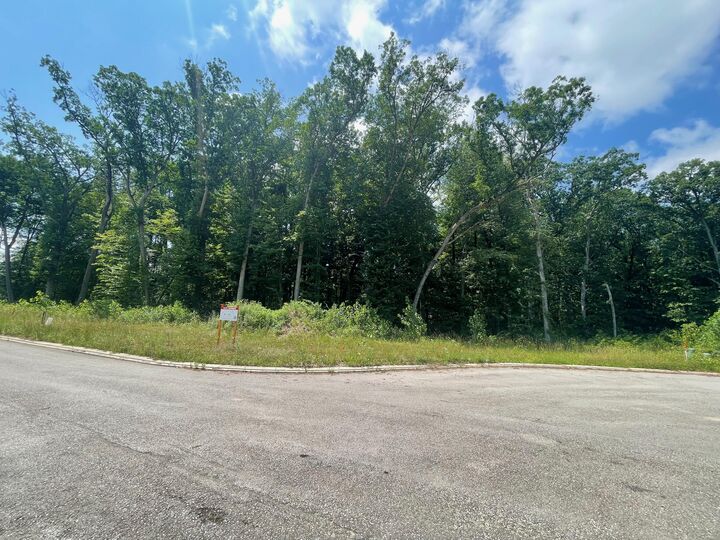 71080 Grafalcon Court  Niles MI 49120 photo