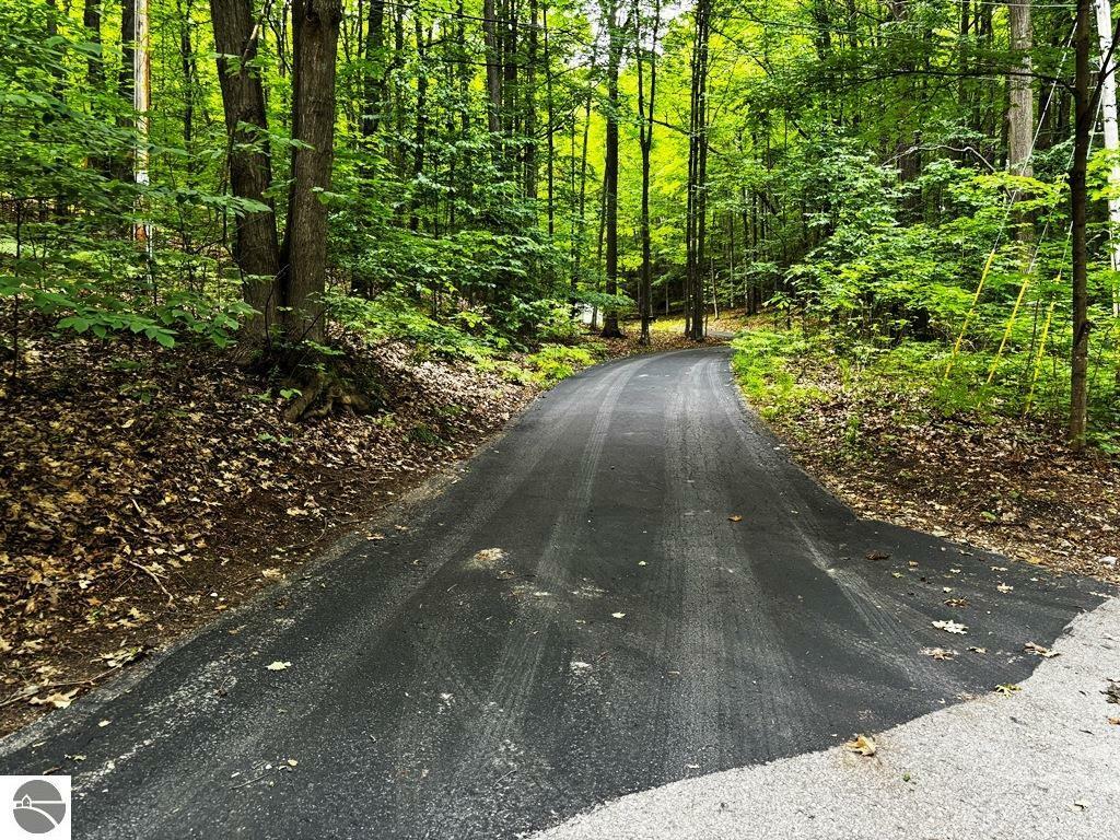 Property Photo: 10520 S Dalzell Road MI 49684