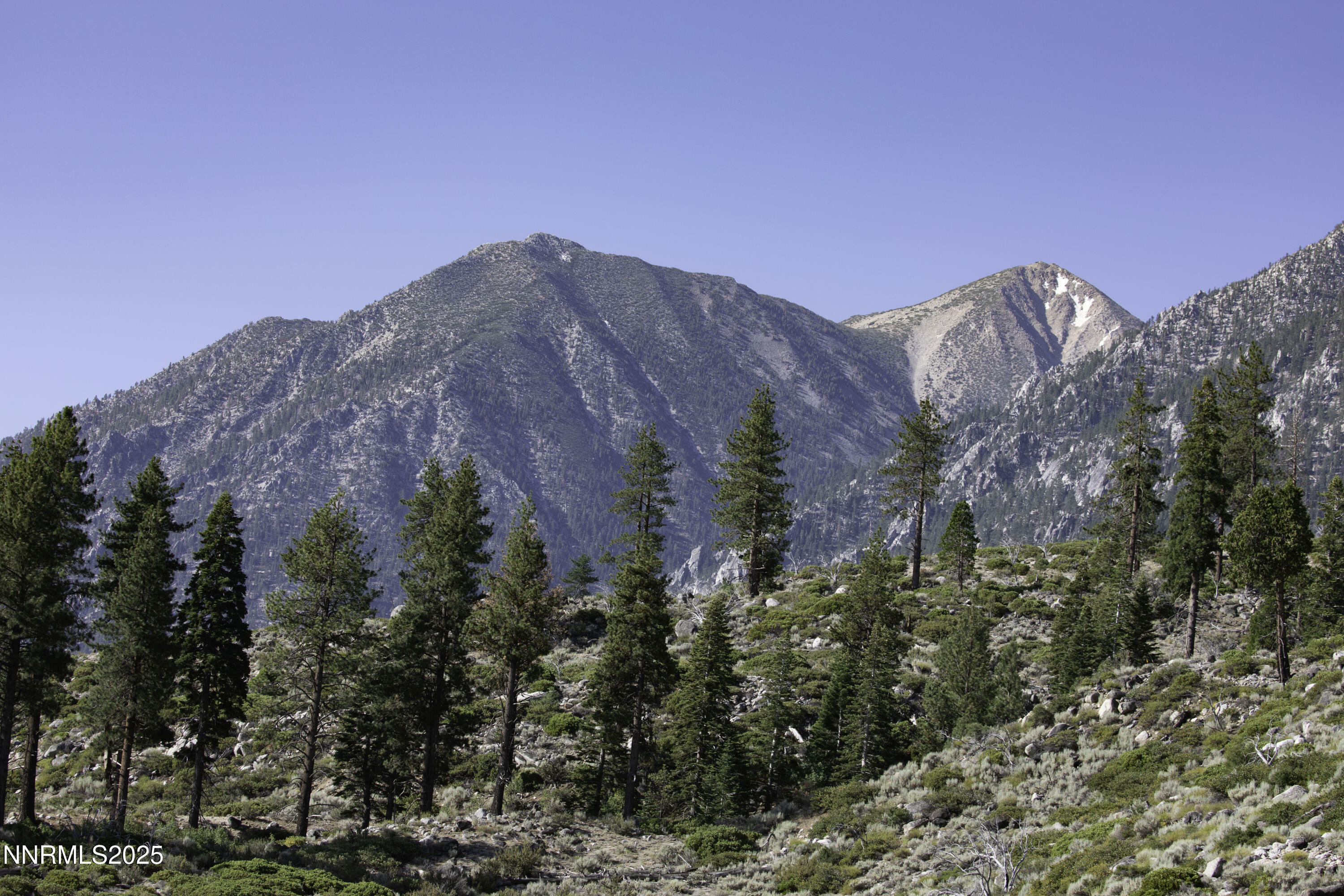 Property Photo:  Tbd Kingsbury Grade  NV 89460 