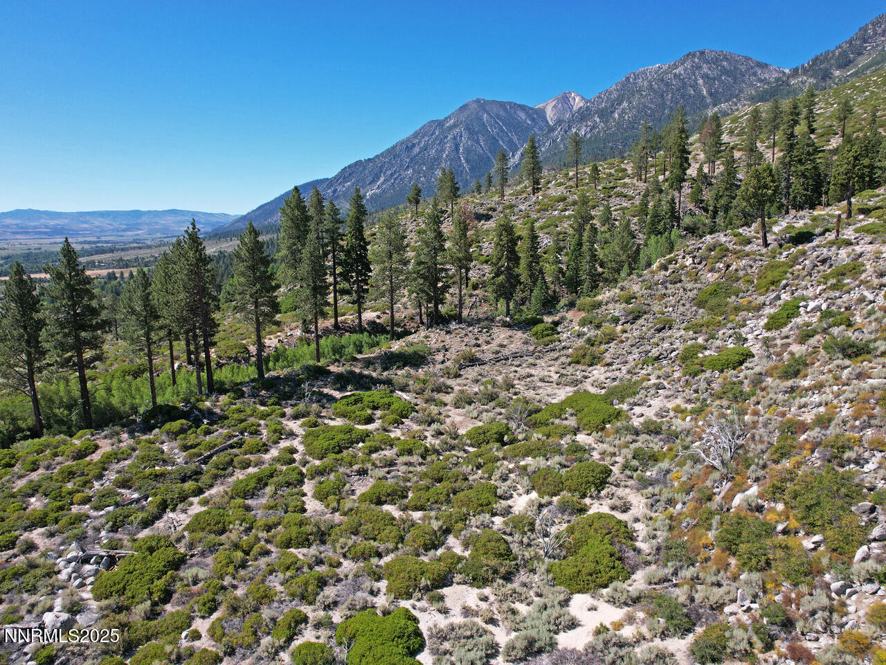 Property Photo: Tbd Kingsbury Grade NV 89460