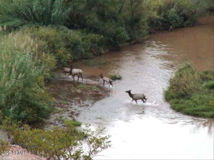 Property Photo: 2105 S Sugarloaf Road AZ 86325