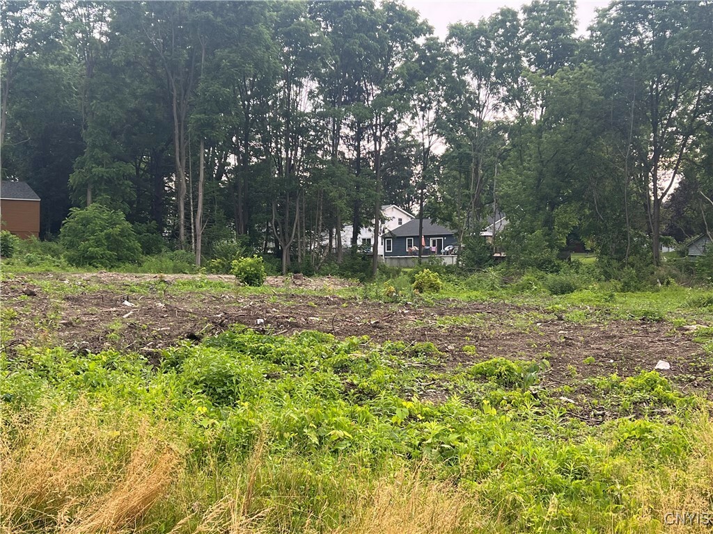 Property Photo: Franklin Street NY 13077
