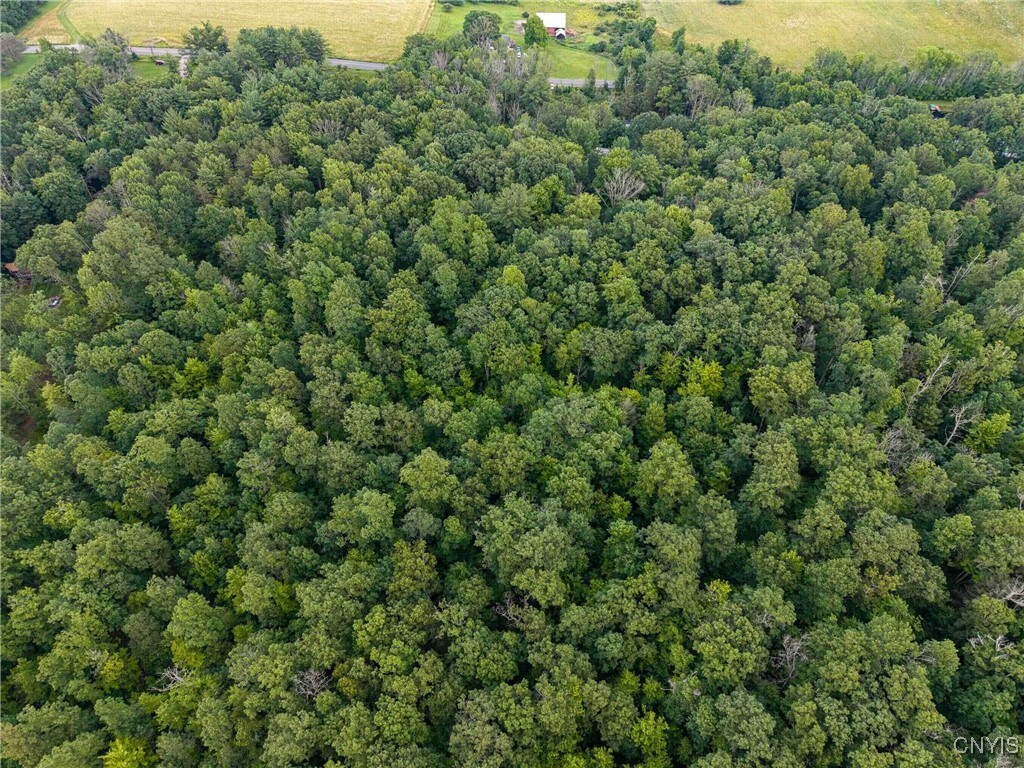 Property Photo: County Road 2 NY 14801