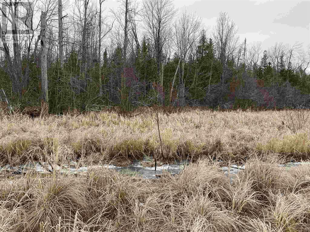 Photo de la propriété:  Lot 2 & 3 Con Nelson Dr  ON P0R 1G0 