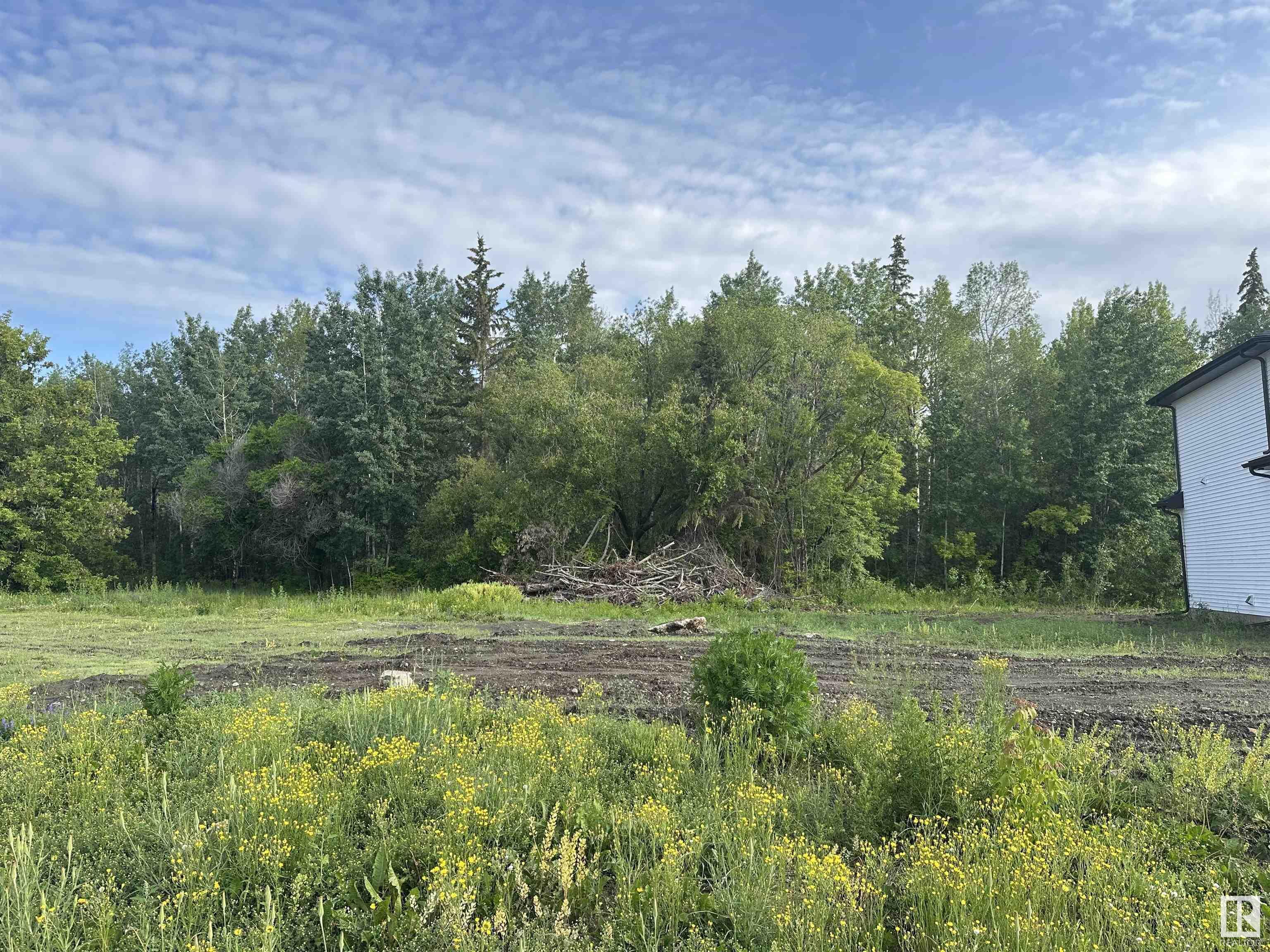 5512 52A Avenue  Wabamun AB T0E 2K0 photo