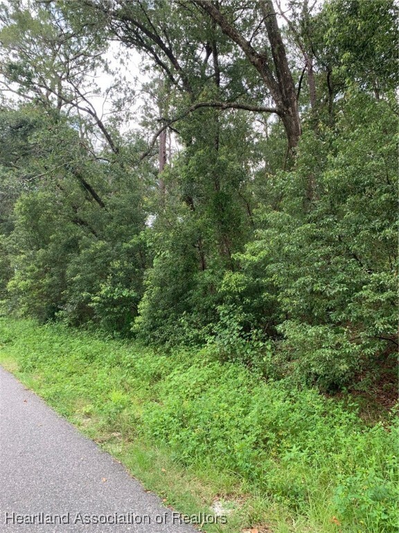 Property Photo: 0 Thornhill Drive FL 32776