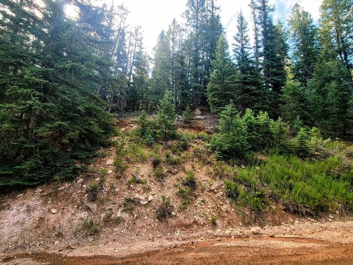 Property Photo:  770 N Skyline View Dr  UT 84762 