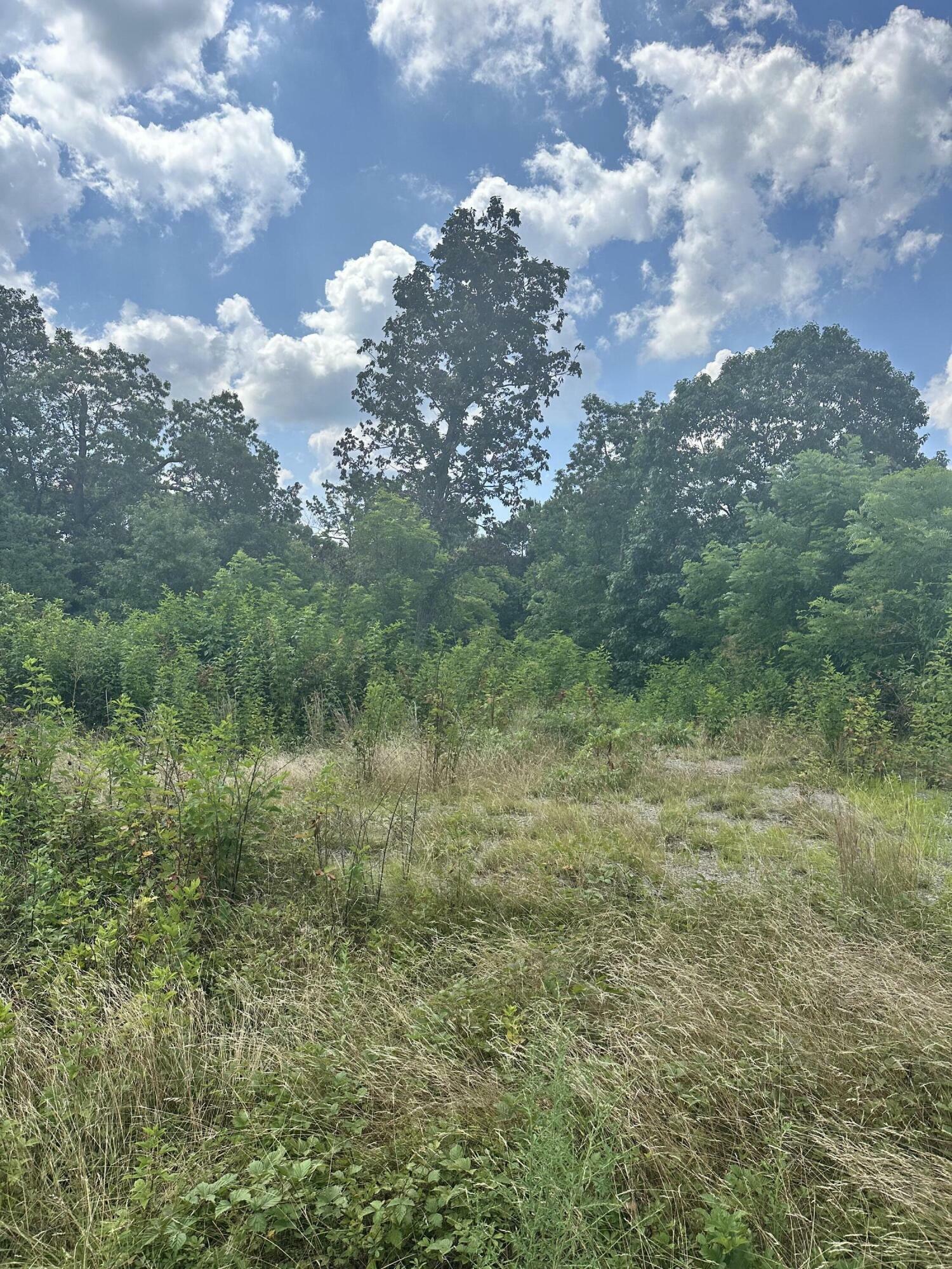 Property Photo: 373 Forest Trail Drive KY 40403
